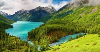 Chiến Lược SEO E-commerce Toàn Diện: Tối Ưu Kỹ Thuật, Nội Dung để Tăng Trưởng Traffic Bền Vững